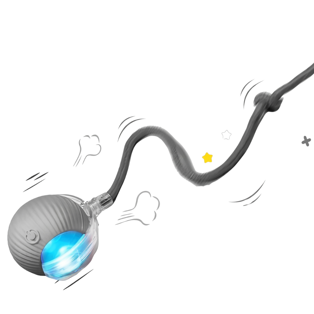 Purrly Interactive Cat Ball